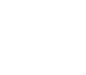 pearlveal150.png